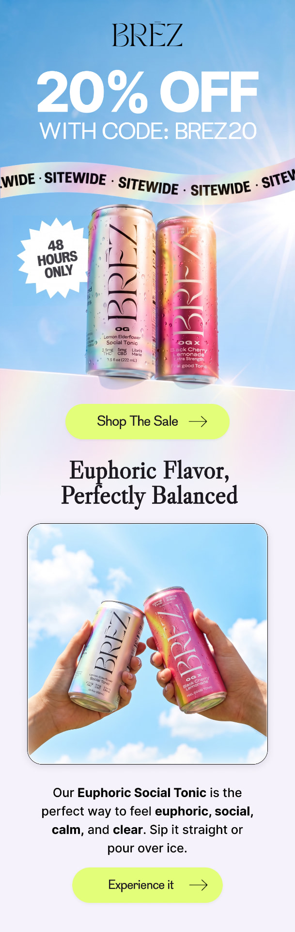 BREZ promotional campaign email